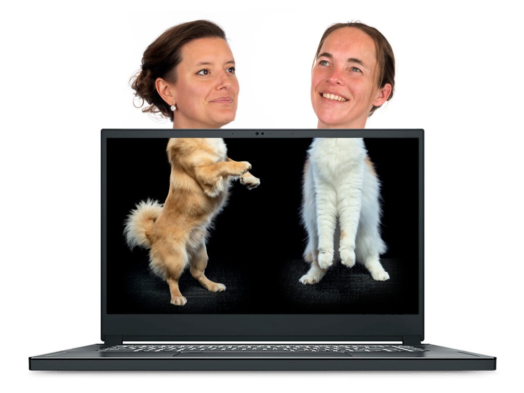 Priscilla et Rachel formulaire de contact